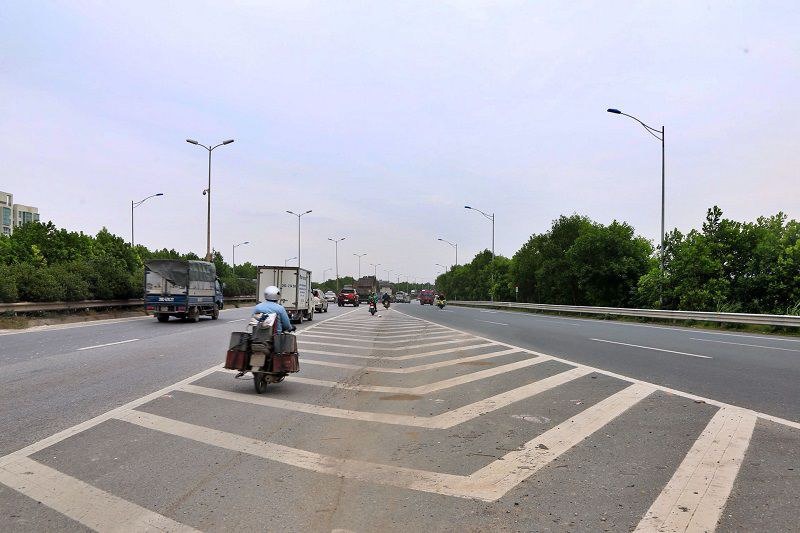 vạch kẻ xương cá